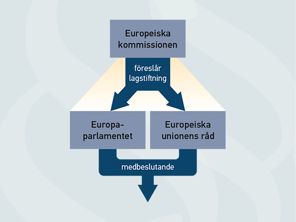 Rätten och samhället