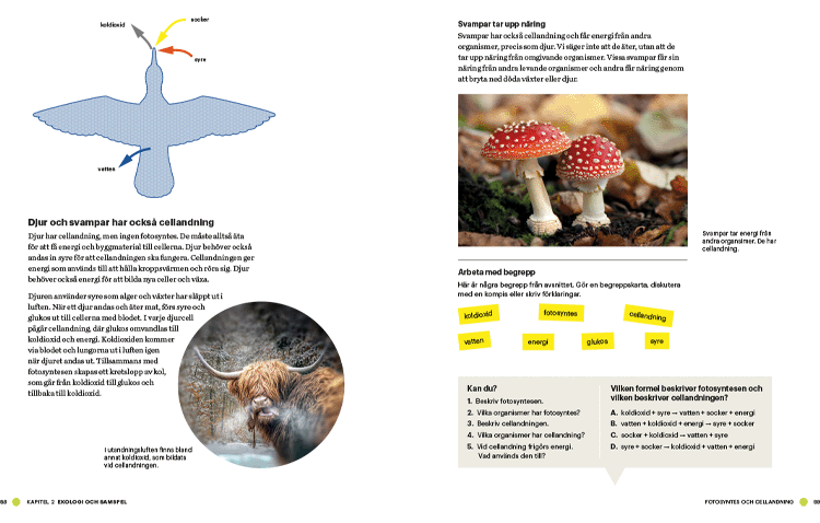 Biologi_direkt-avsnittsuppslag750x478px.png