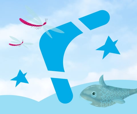 Bingel-boomerang-480x400px.jpg
