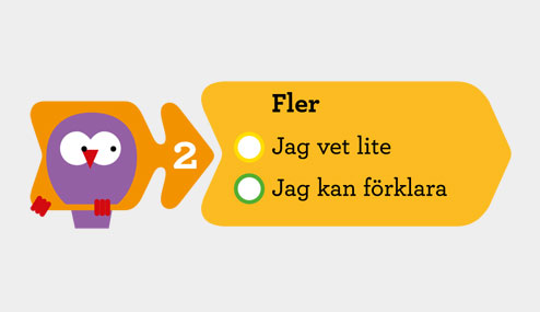 Koll på matematik Fler