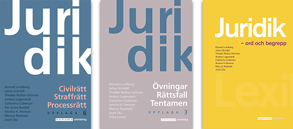 Juridik - civilrätt, straffrätt, processrätt upplaga 6