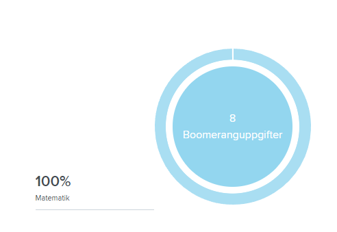 4Hemsida_Boomerangcirkeldiagram.PNG