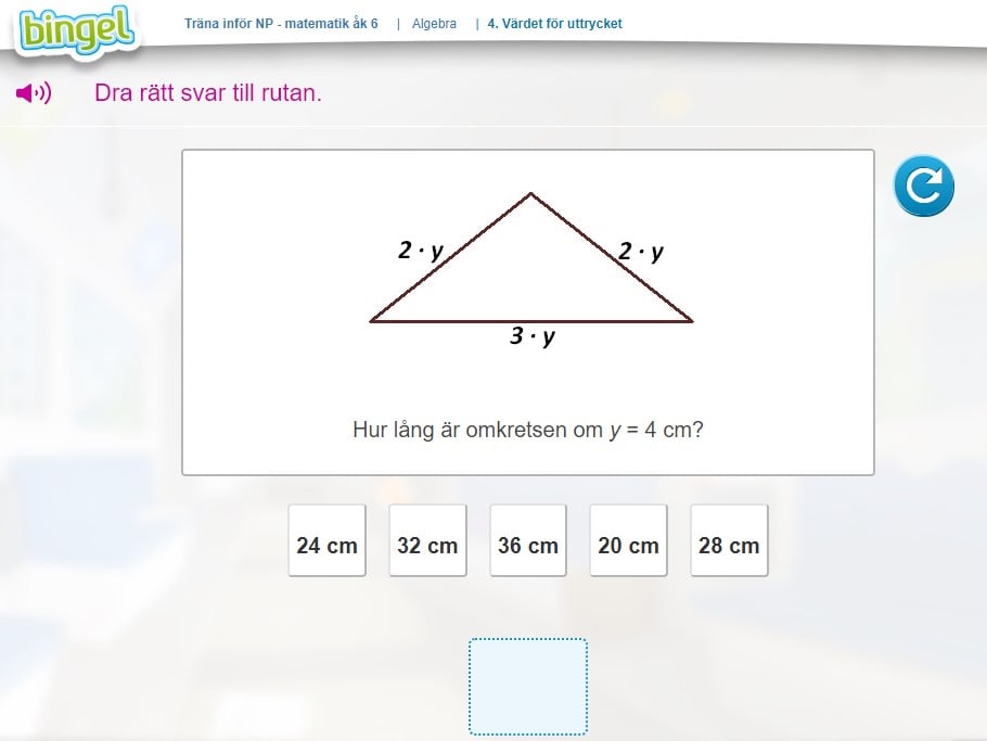 Träna inför nationella proven i matematik och algebra i Bingel