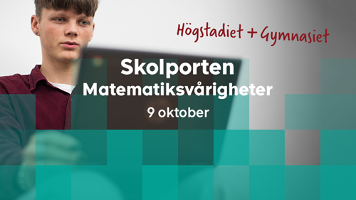 Kille sitter vid laptop. Text: Skolporten Matematiksvårigheter 9 oktober