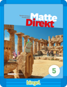 Matte Direkt 5 Lärarstöd+ (Skollicens)