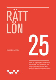 Rätt Lön 2025