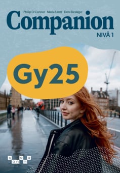 Companion Nivå 1